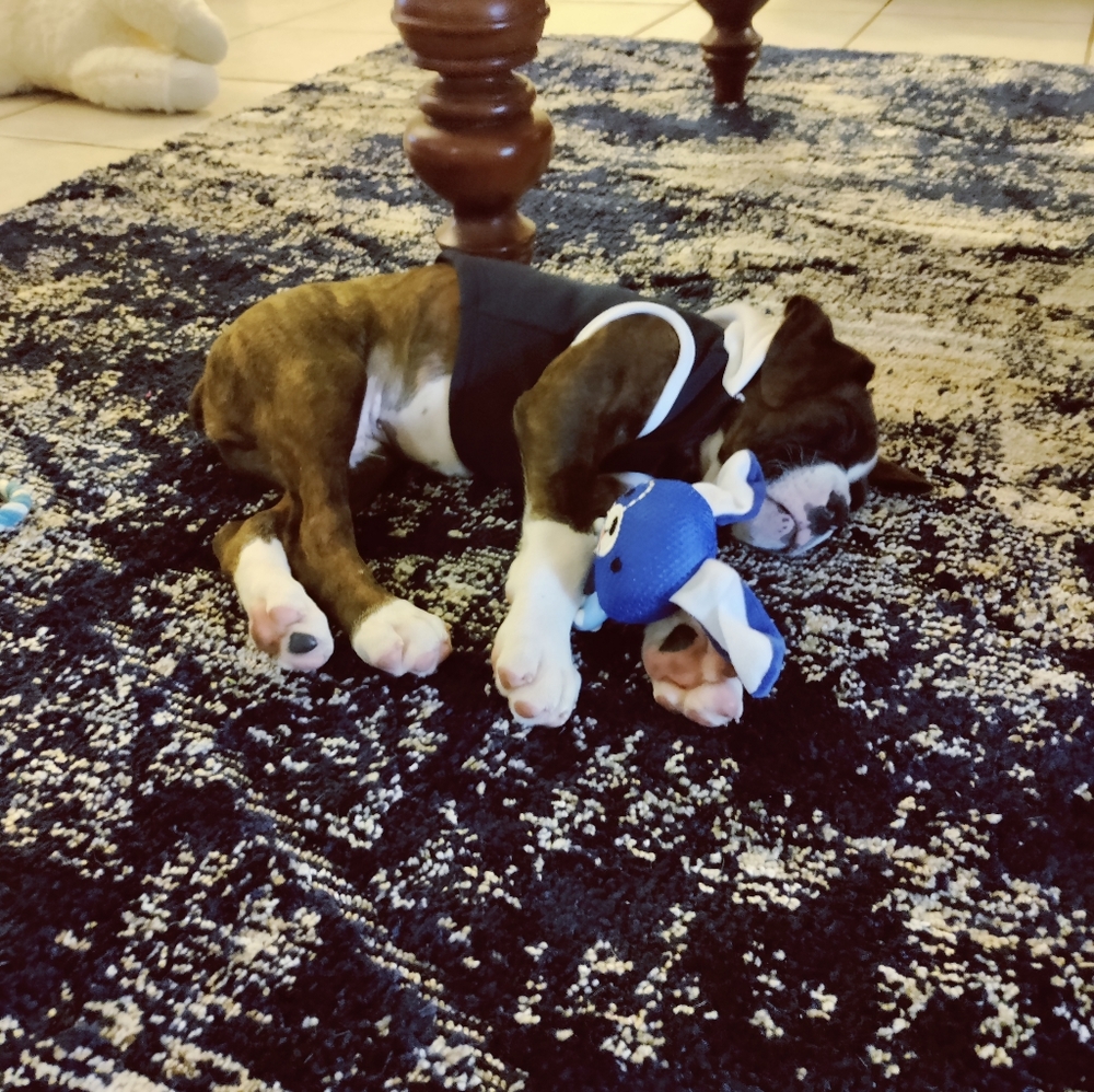 Meet your Posher, Heather